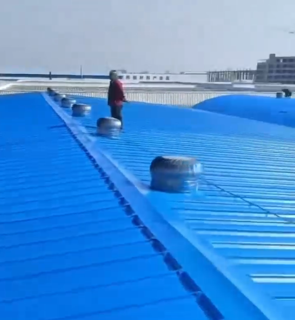 喷第三遍面漆视频